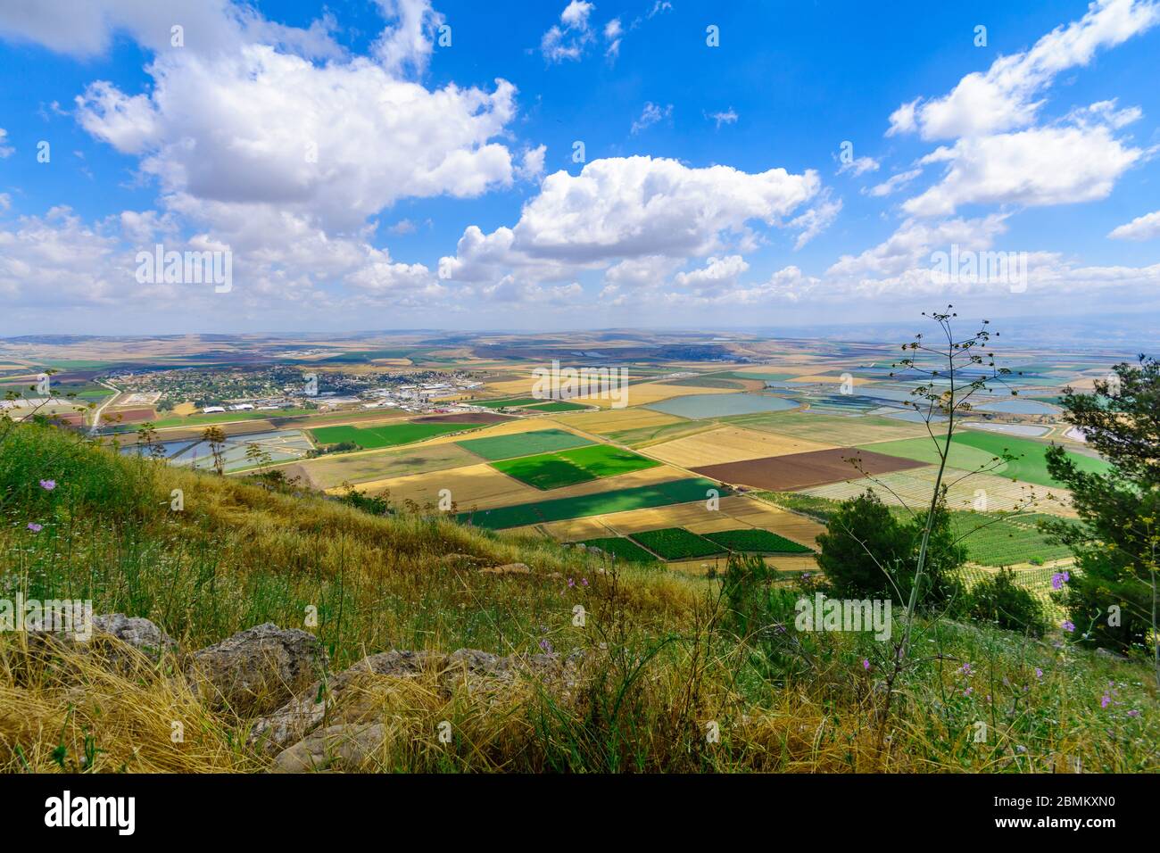 Landscape of the Jezreel Valley from Mount Gilboa. Northern Israel 
