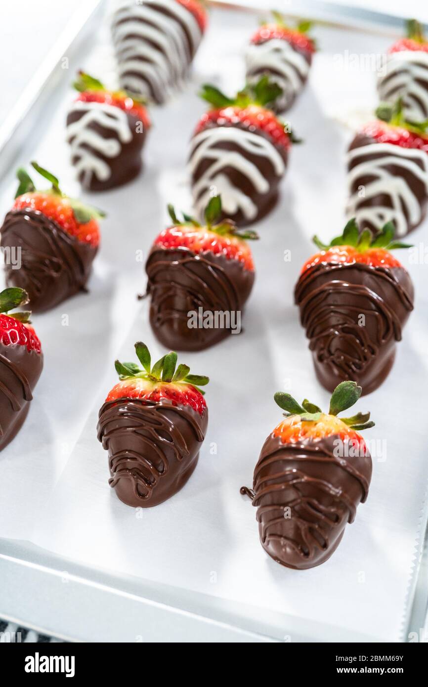 Organic strawberries dipped in chocolate drying on a parchment paper