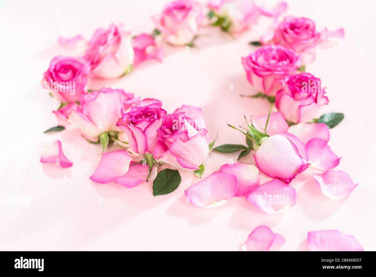 Heart shape made out of pink roses and rose petals on a pink background ...