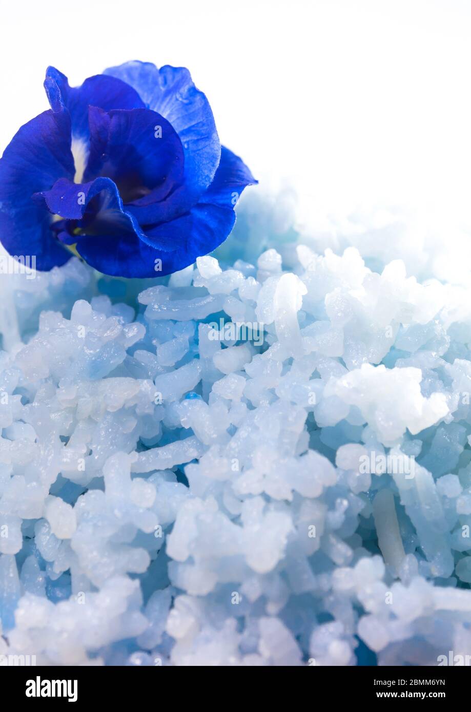 Blue color cooked rice by color of butterfly pea flower Stock Photo - Alamy