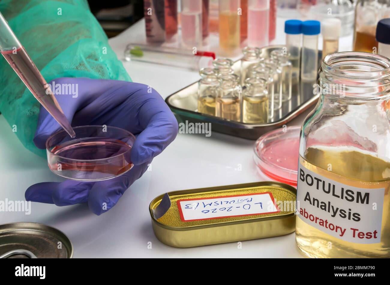 Experienced laboratory scientist analyzing a sample from a canned food can, botulism infection in sick people, conceptual image Stock Photo