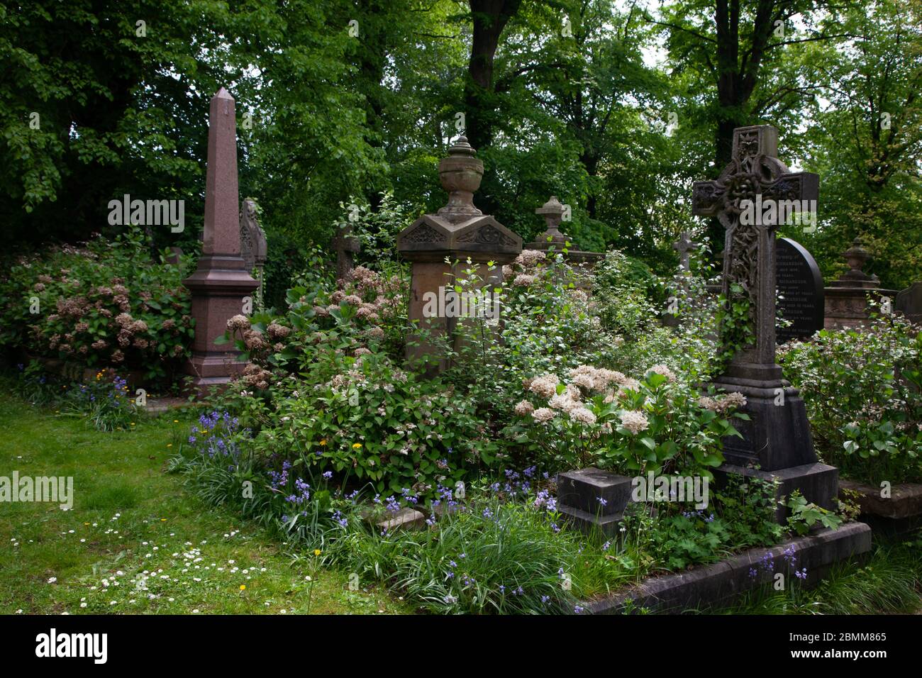 Old gravestones overgrown with vegetation.Holy Trinity Church Wordsley. West Midlands. UK Stock Photo
