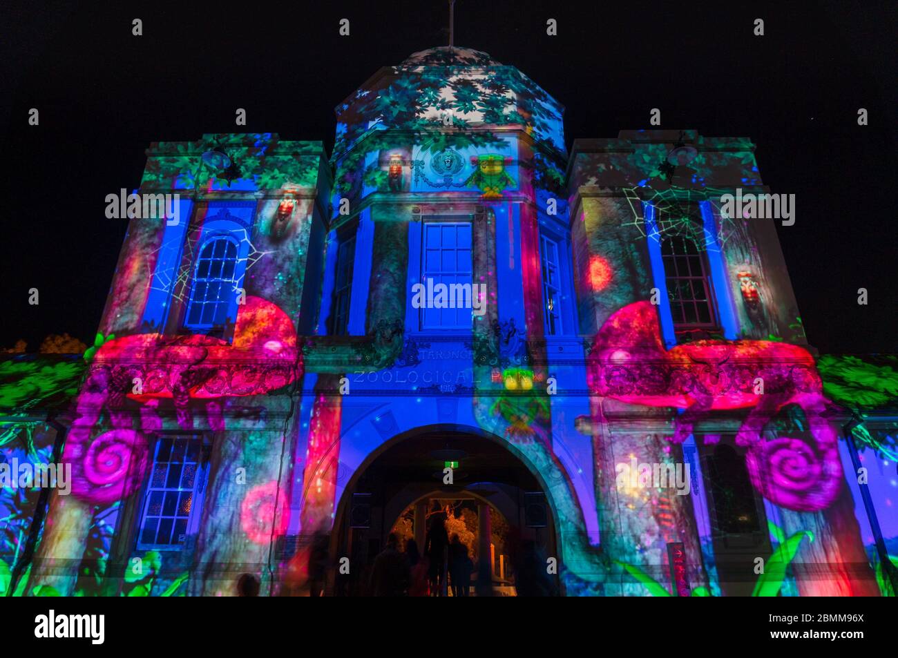 Taronga zoo at night hi-res stock photography and images - Alamy