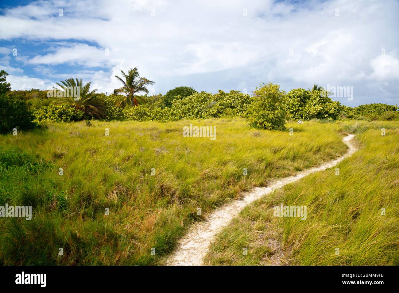 A footpath through a beautiful green spot on Bird Island which belongs