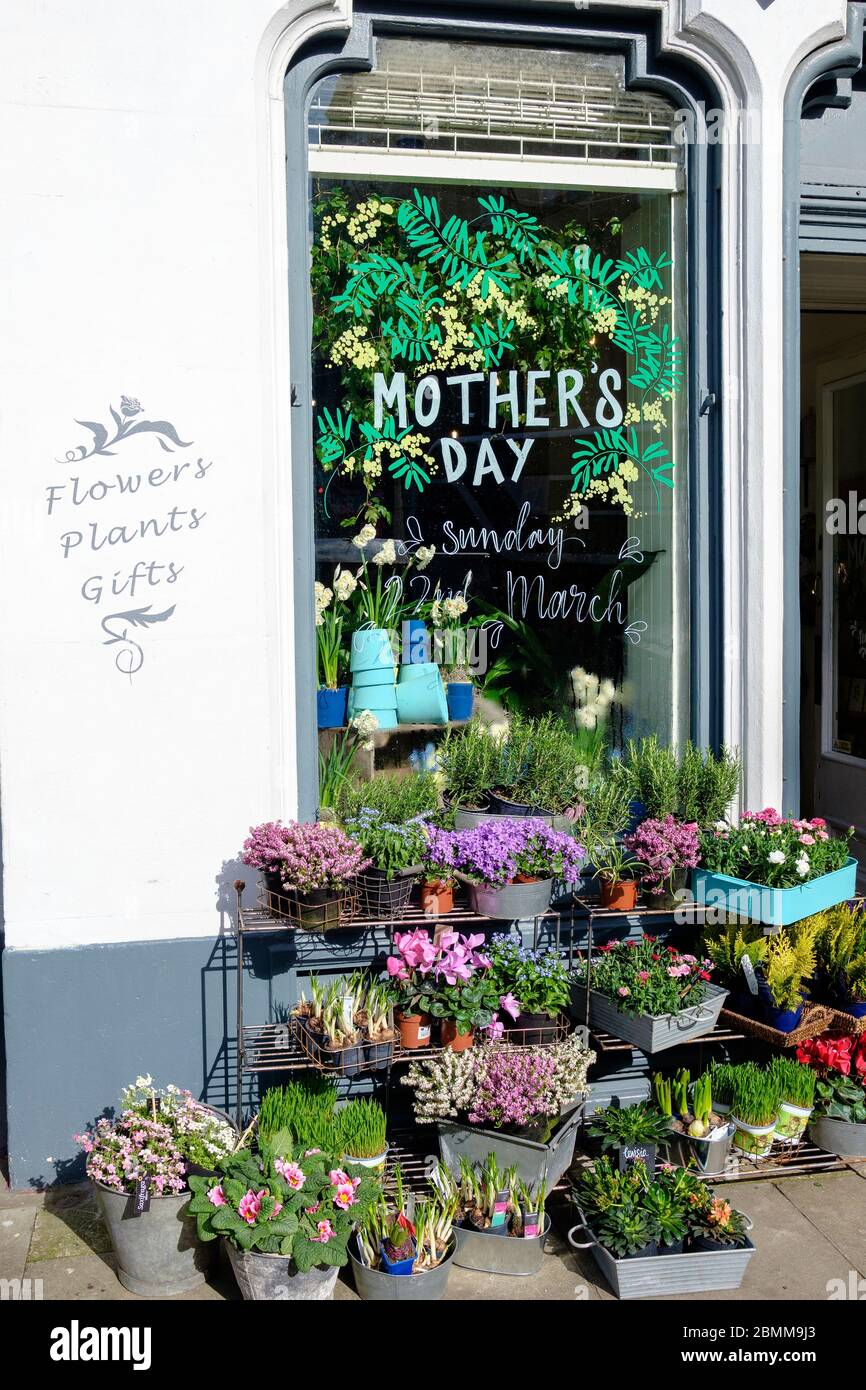 Florists Shop With A Display Of Flowers For Mothers Day In The Bruntsfield District Of Edinburgh Scotland Stock Photo Alamy
