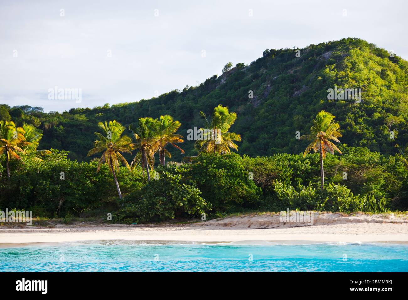 A pristine caribbean beach with palm trees seen from a boat. Stock Photo