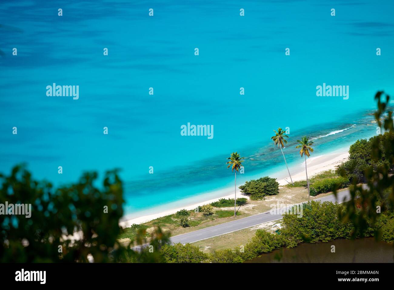 Darkwood Beach with palm trees seen from a high observation point in Antigua. Stock Photo