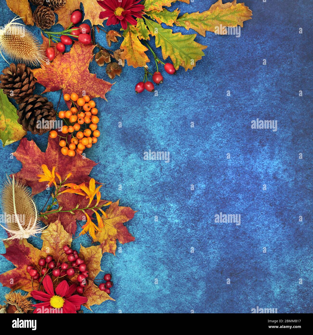 Autumn background border with food, flora and fauna on mottled blue background. Harvest festival theme top view. Stock Photo