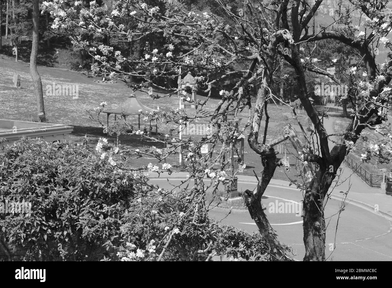 Happy Valley, Great Orme Llandudno North Wales, Credit Mike Clarke