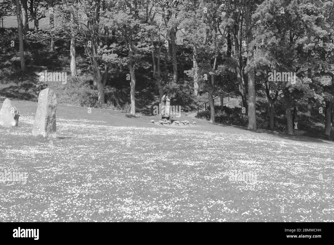 Happy Valley, Great Orme Llandudno North Wales, Credit Mike Clarke