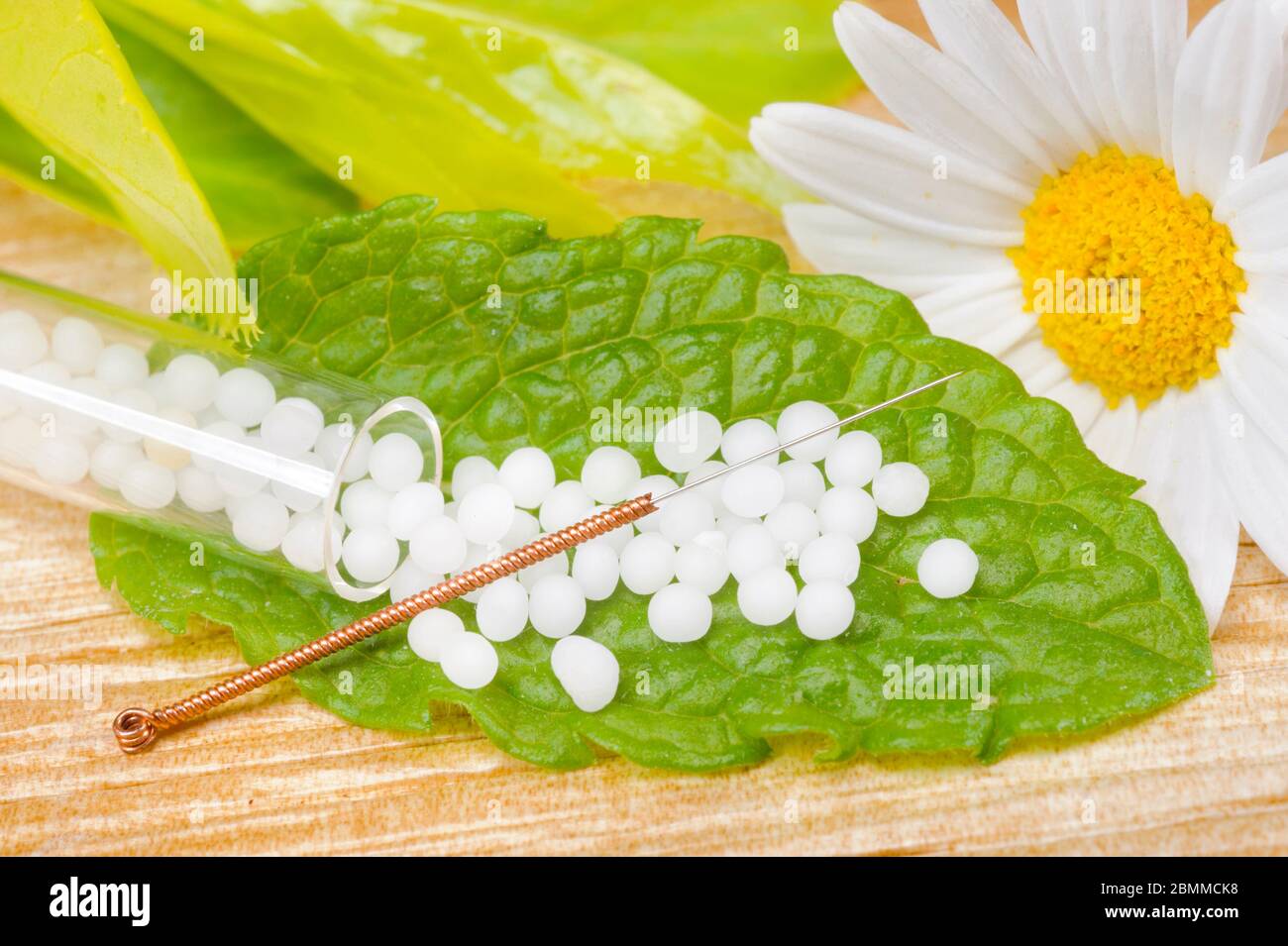 alternative medicine with herbal and homeopathic pills Stock Photo