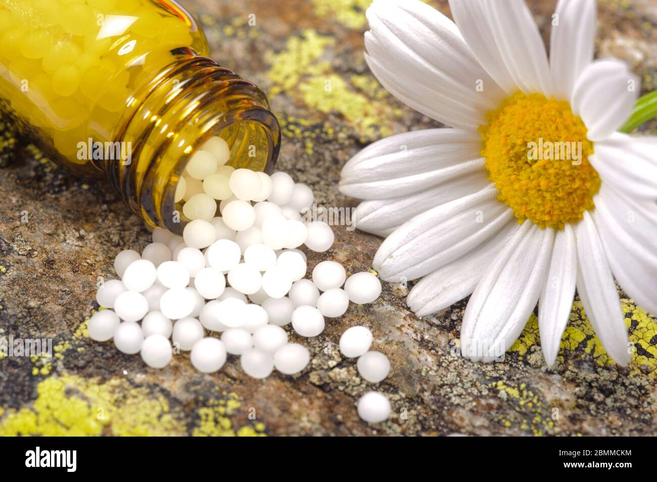 alternative medicine with herbal and homeopathic pills Stock Photo