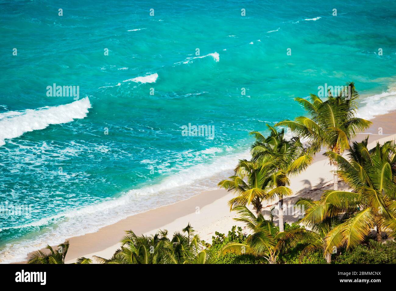 A beautiful caribbean beach with lots of palm trees and tall waves seen from a high observation point. Galley Bay, Antigua. Stock Photo