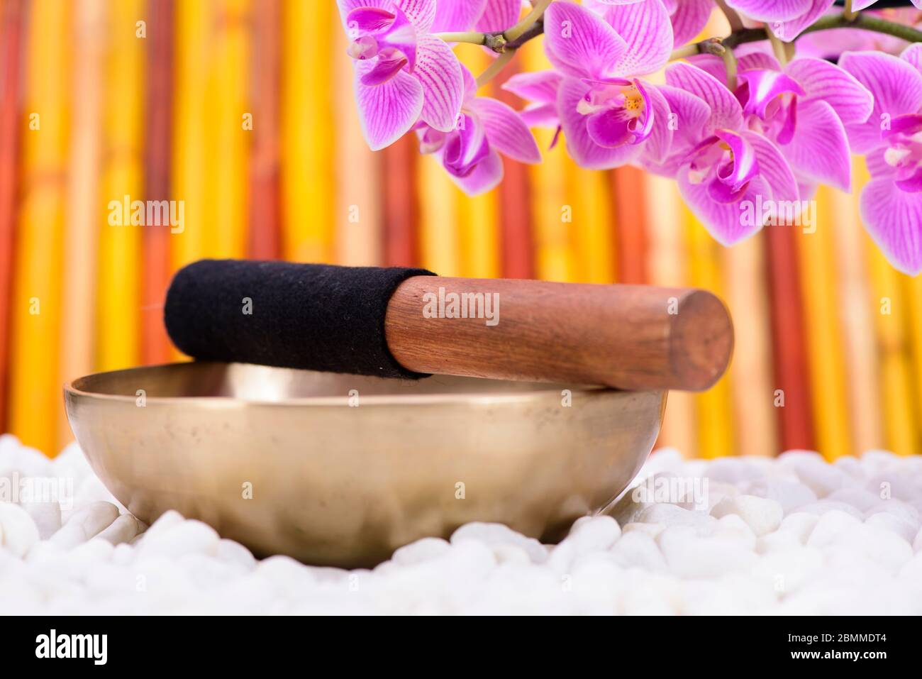 singing bowl in zen garden Stock Photo