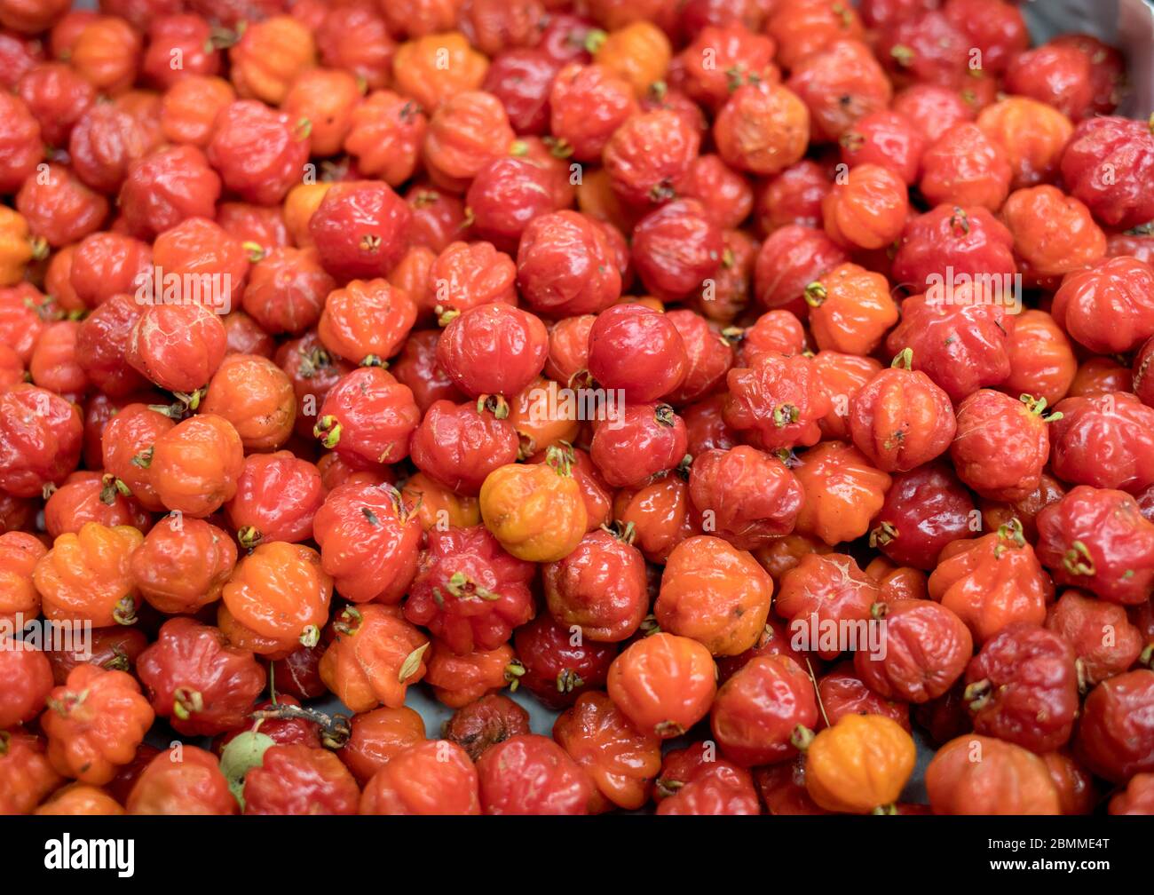 Barbados cherry fruits sale at market in Funchal on Madeira Stock Photo