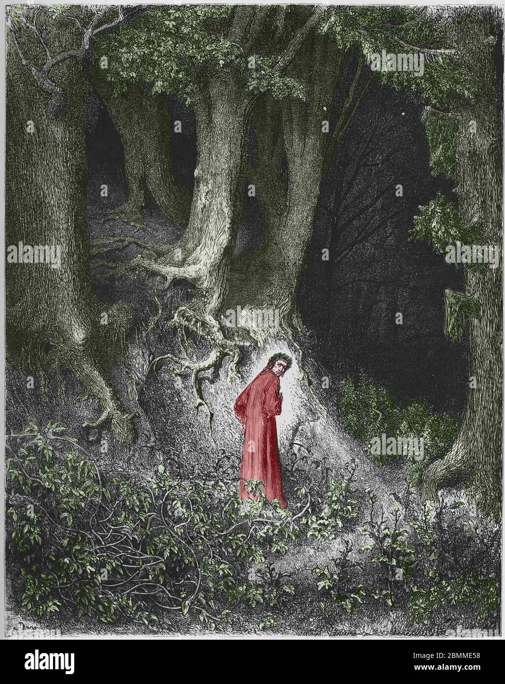 Premier chant de l'Enfer : le poete Dante se retrouve dans une foret. Illustration de la 'Divine Comedie' (Divina Commedia) de Dante Alighieri (1265-1 Stock Photo