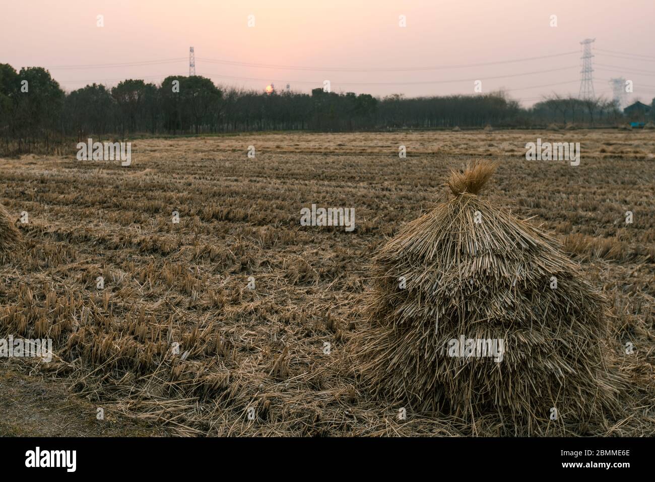 Rural landscape with golden straw bales Stock Photo - Alamy