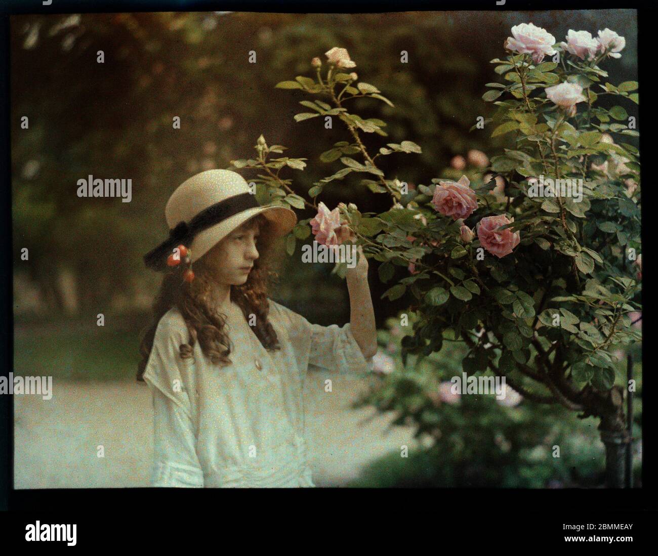 Portrait de jeune fille de la bourgeoisie parisienne, adolescente, au chapeau de paille, posant pres d'un rosier au jardin de Bagatelle, Paris - (Youn Stock Photo