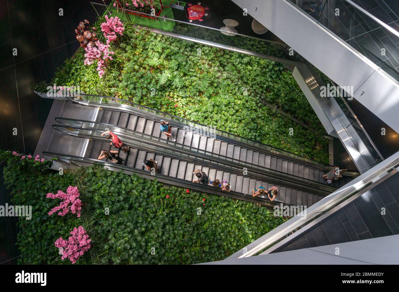 Sydney, Australia - January 26, 2020: People on escalator inside One Central Park Sydney Shopping mall building Stock Photo