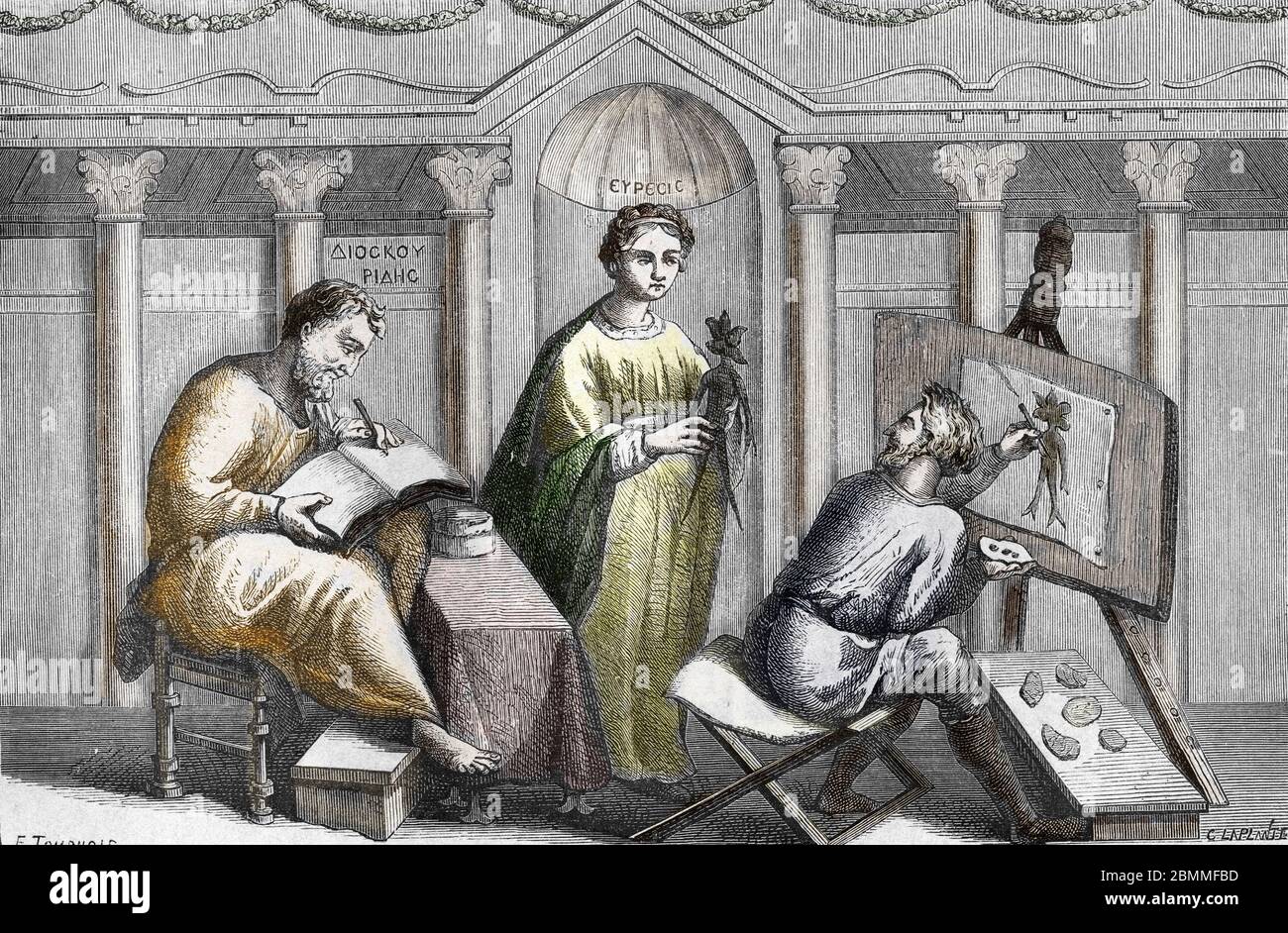Representation du medecin et botaniste grec Pedanius Dioscoride (40-90  apres JC) faisant dessiner la plante mandragore pour son ouvrage "De  materia m Stock Photo - Alamy