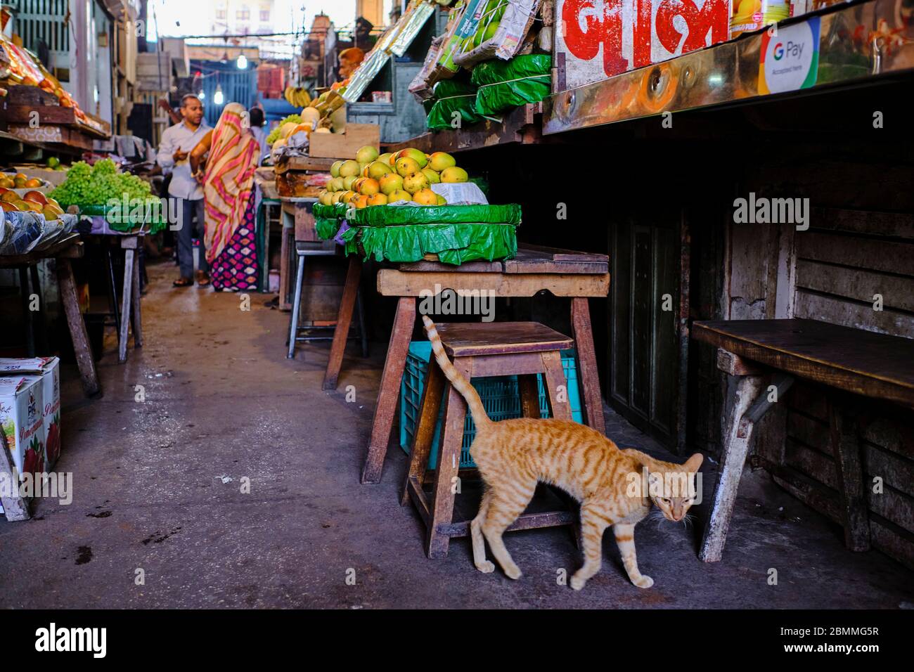 India, Gujarat, Ahmedabad, Unesco World Heritage city, fruit and vegetable market Stock Photo