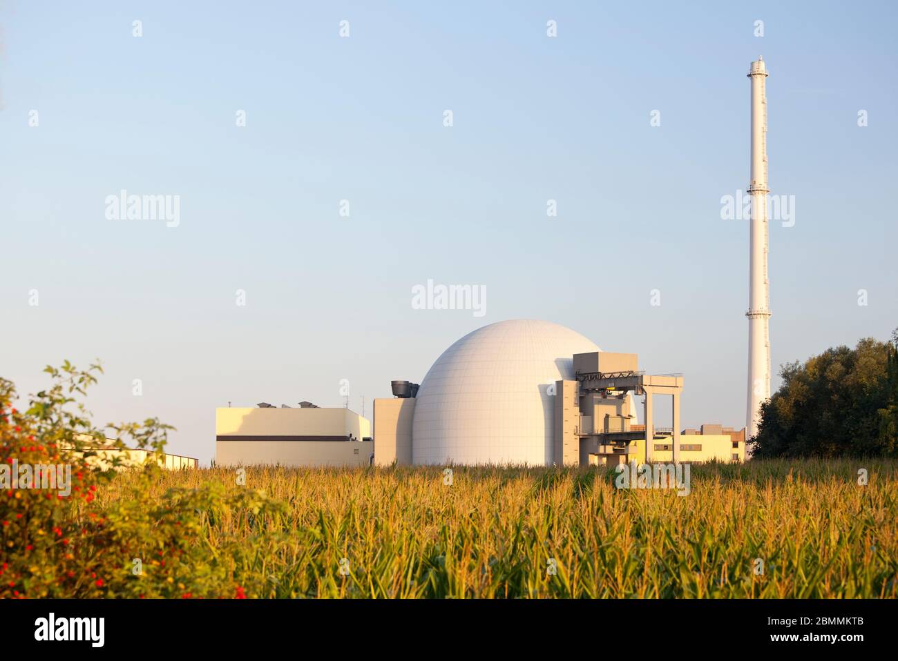 Reactor building and smoke stack of a nuclear power station, a corn ...