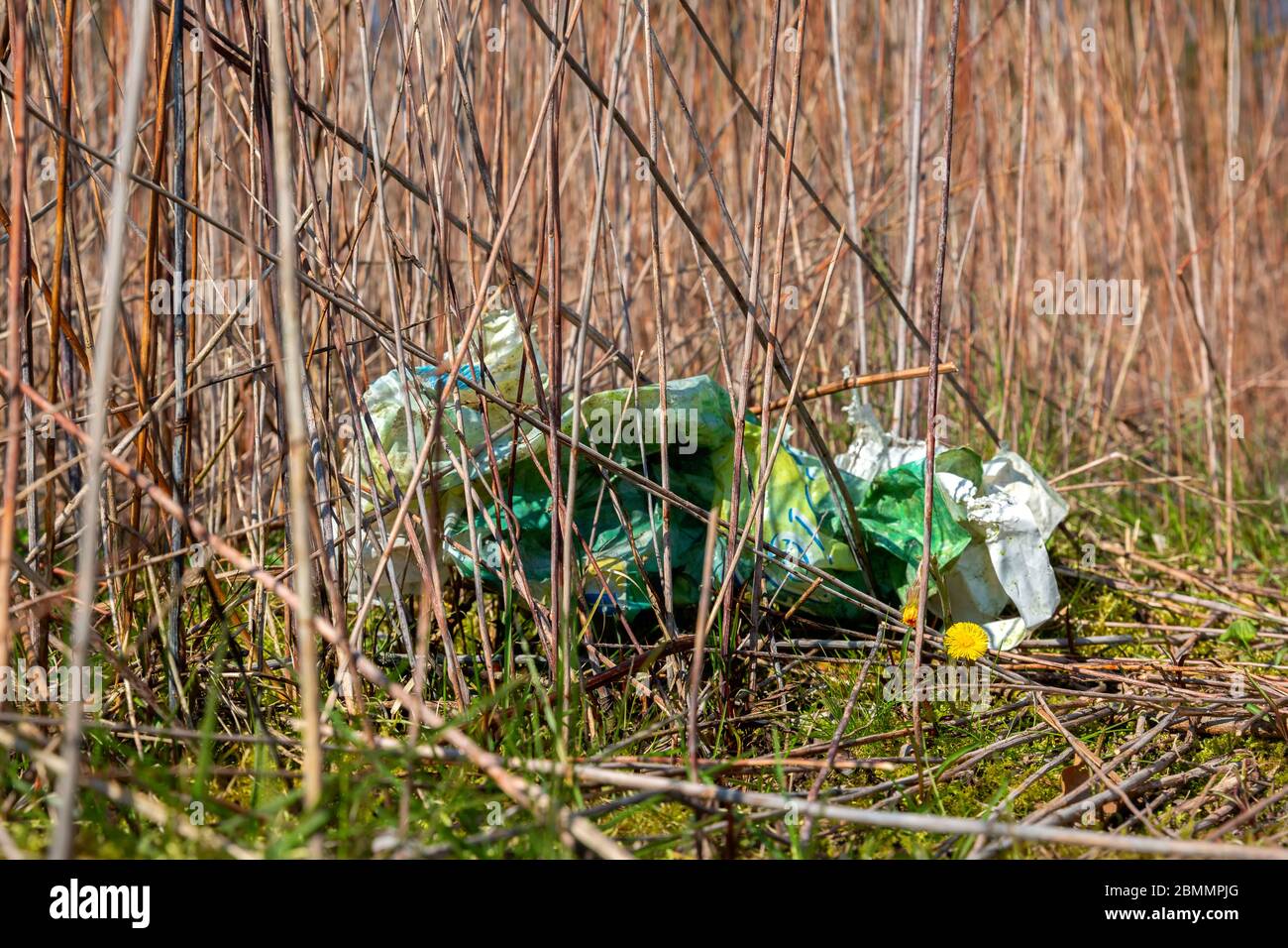 Plastic waste on a covered landfill in northwest Germany with coltsfoot Stock Photo