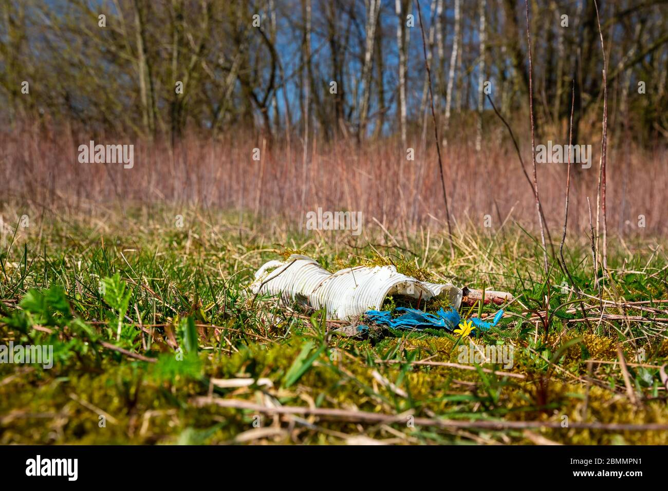 Plastic waste on a covered landfill in northwest Germany with lesser celandine Stock Photo