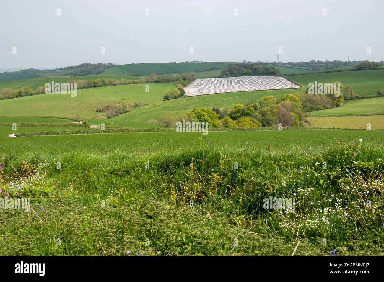Plastic sheeting hires stock photography and images Alamy