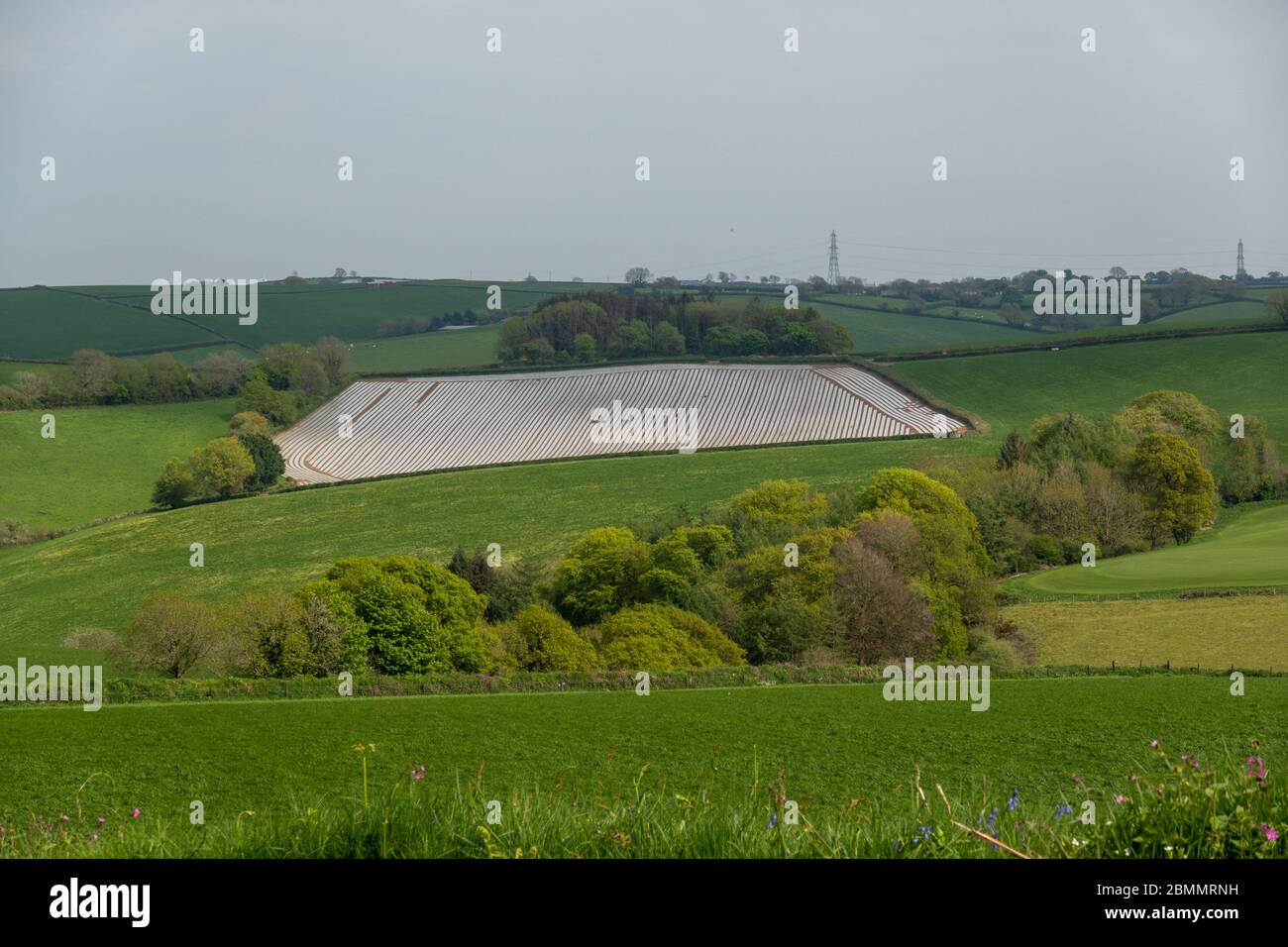 Plastic sheeting hires stock photography and images Alamy
