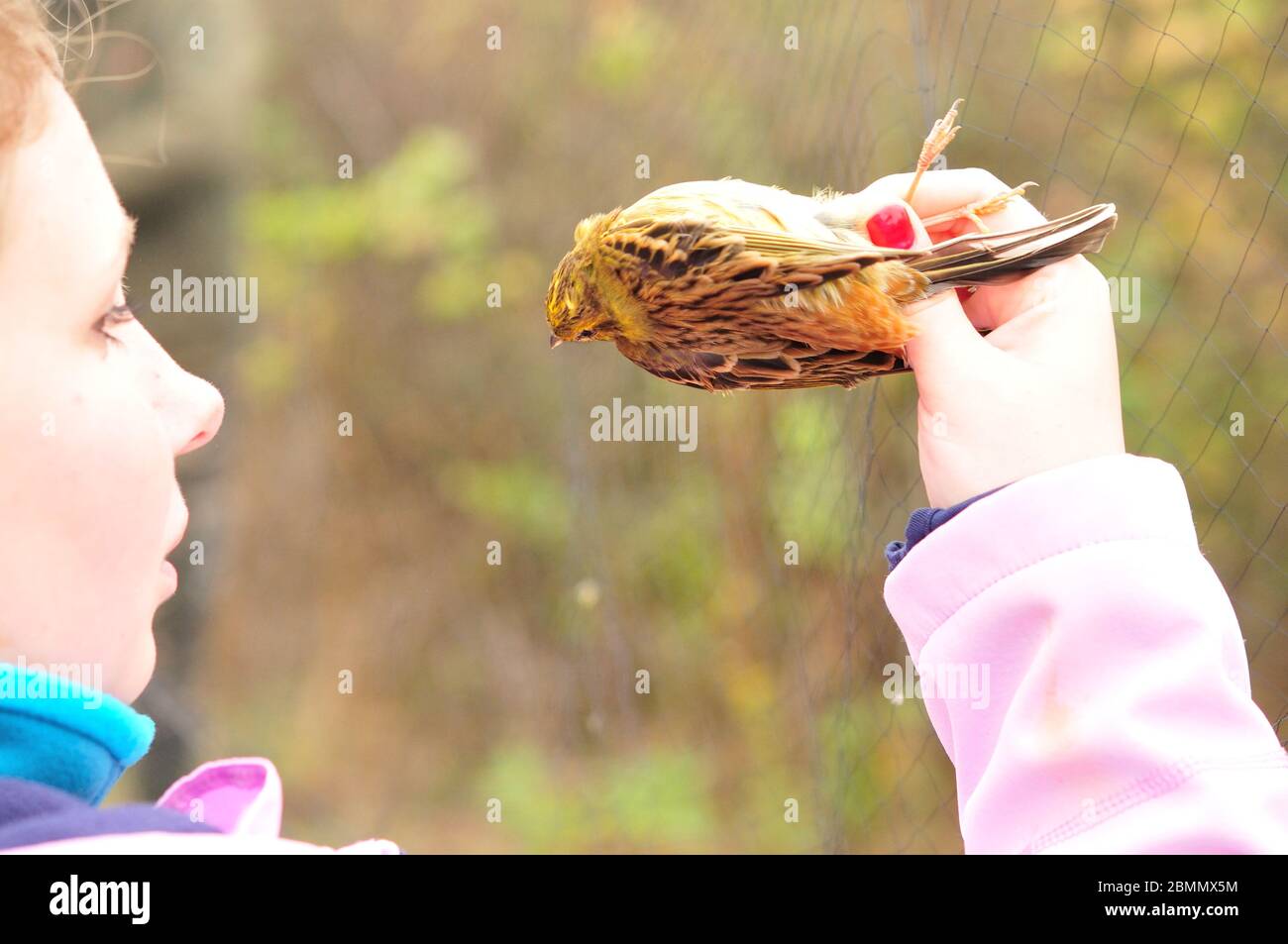 Kids holding bird in hand Stock Photo