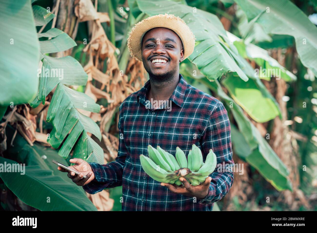 African farmer man using smartphone and holding banana at organic farm with smile and happy.Agriculture or cultivation concept Stock Photo