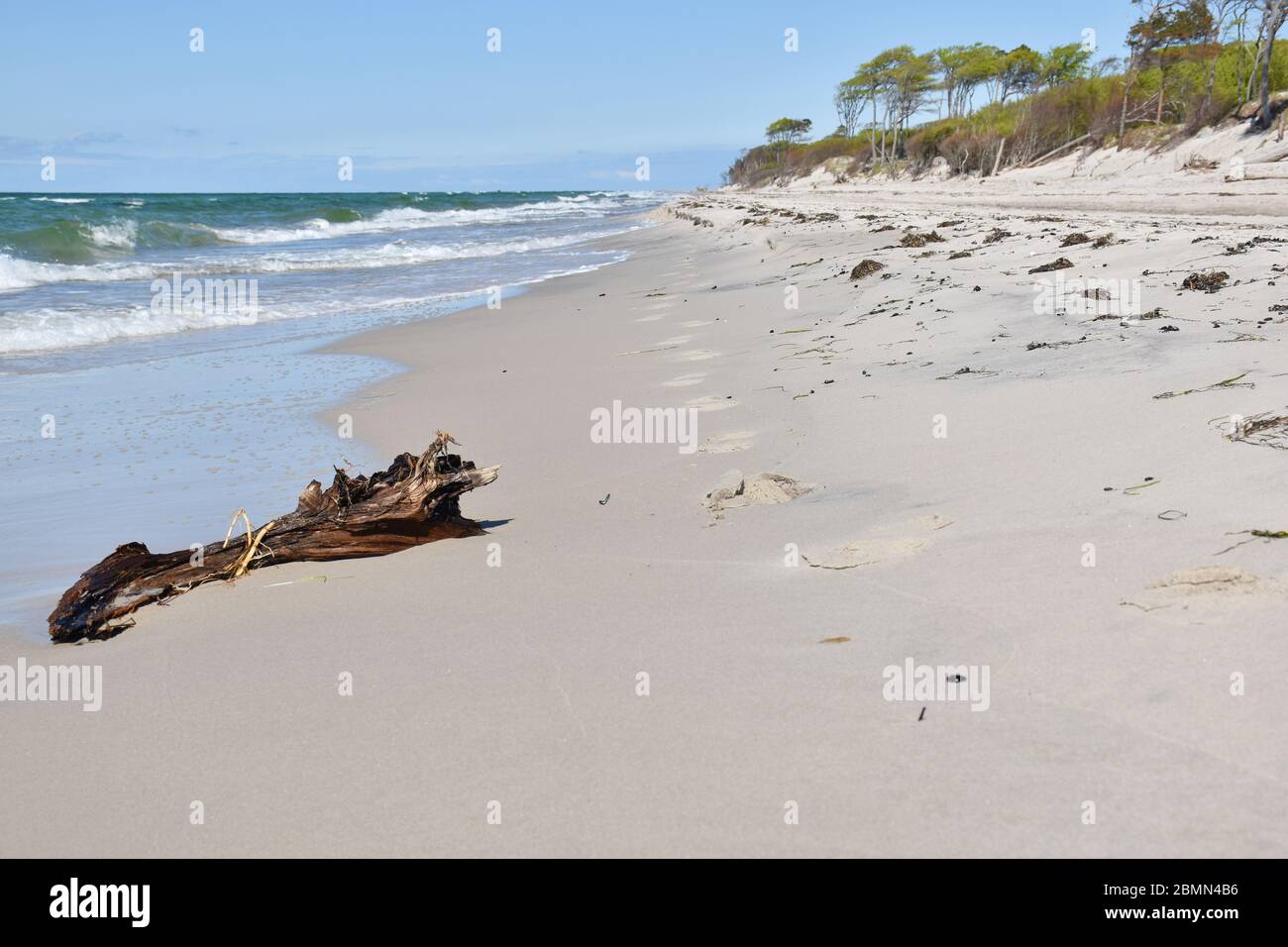 Footprints in the sand at the shore of baltic sea at Darss National park, Germany Stock Photo