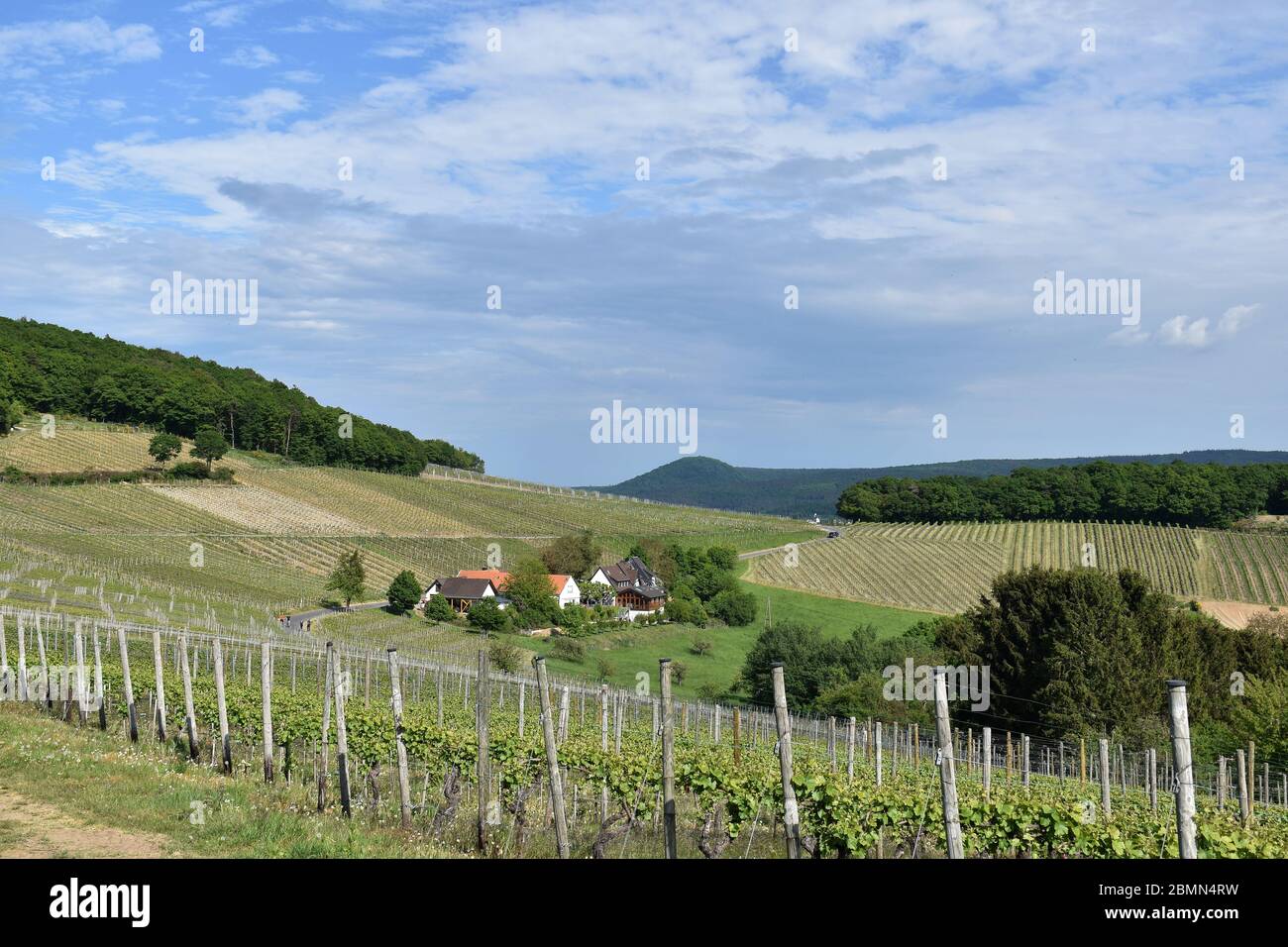 Scenic rural landscape with vineyards in the Ahr valley, Germany Stock Photo