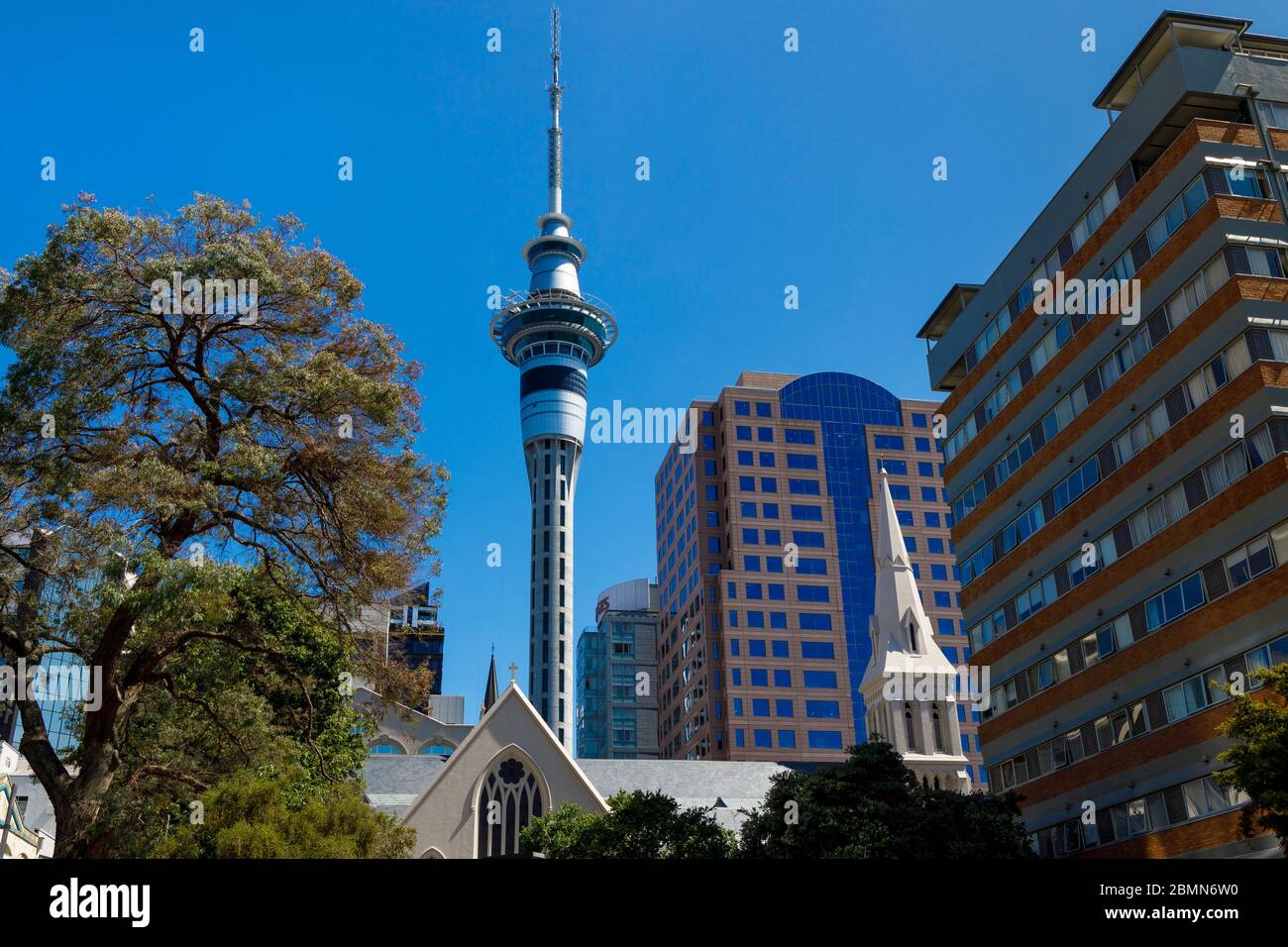 The Sky Tower in the Auckland CBD district, New Zealand. Stock Photo