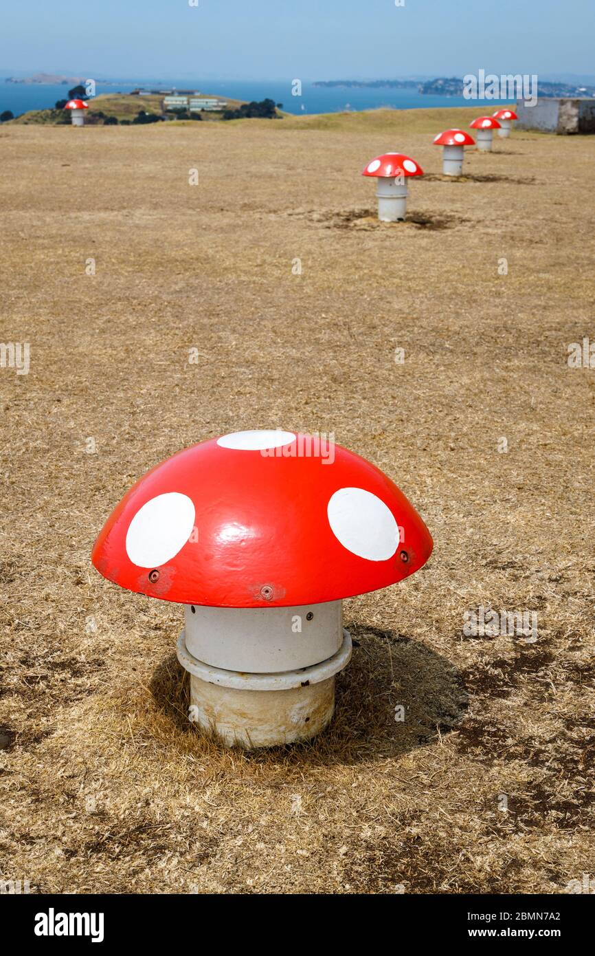Bunker air-vents in the form of painted mushrooms on the top of Mount Victoria, Devonport, Auckland, New Zealand. Stock Photo
