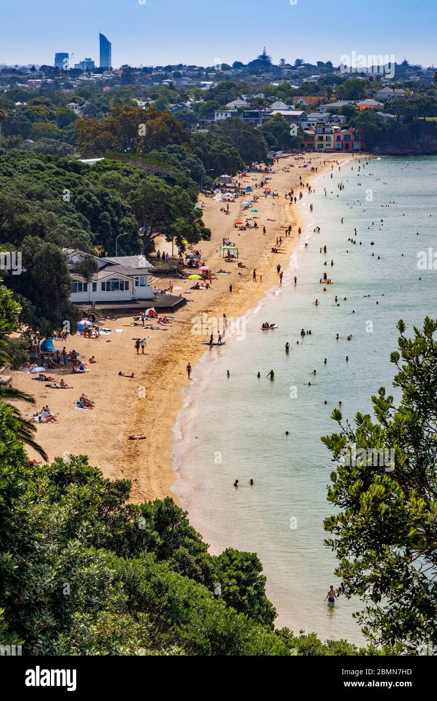 Elevated view of Cheltenham Beach, Devonport, Auckland, New Zealand. Stock Photo