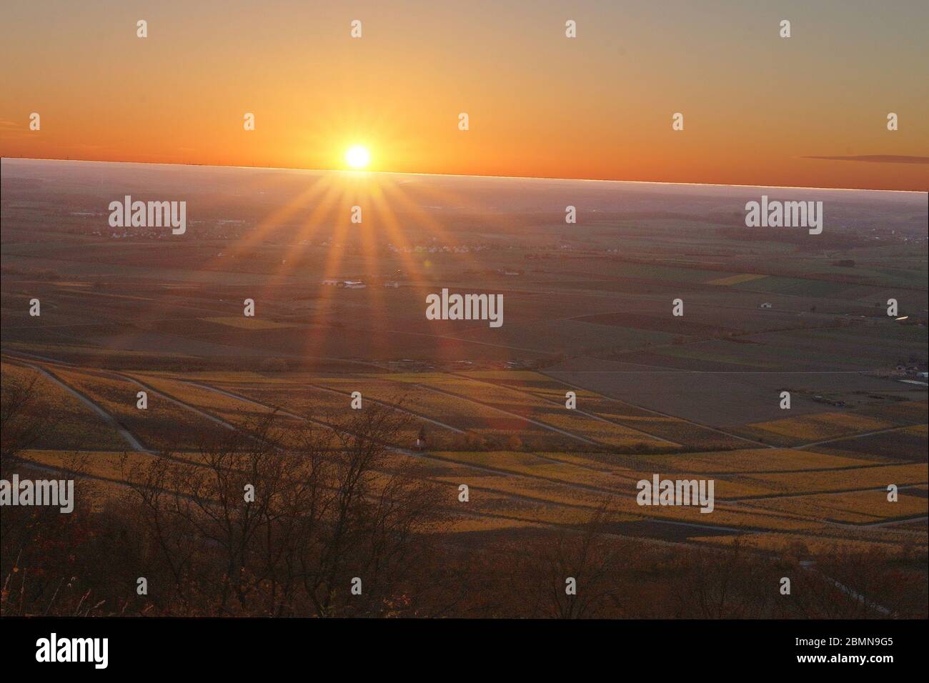 Sonnenuntergang über den Weinbergen Stock Photo