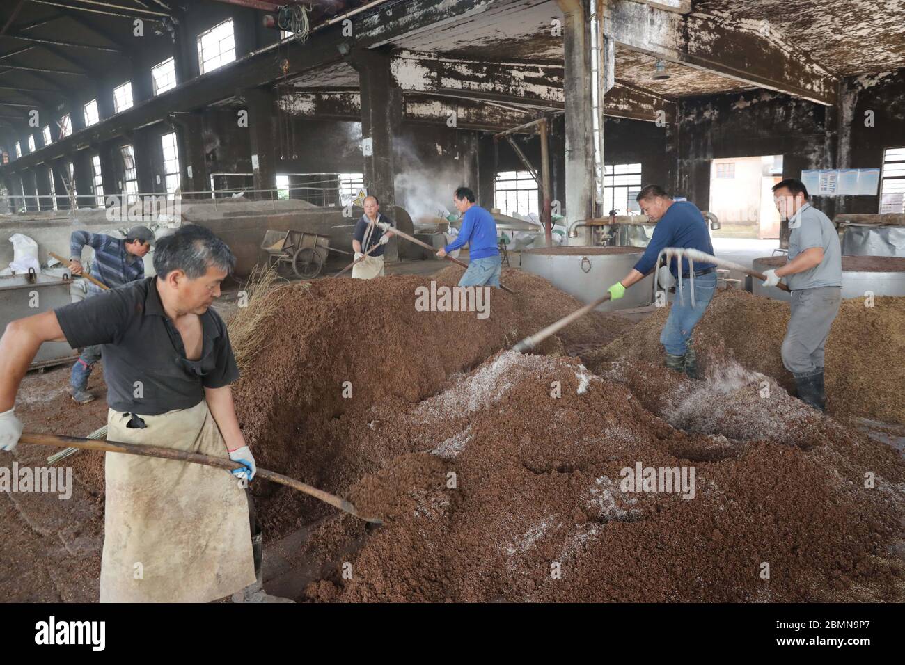 Haimen, Haimen, China. 10th May, 2020. JInagsuÃ¯Â¼Å'CHINA-On May 7, 2020, in the yisheng century-old cellar pool and brewing workshop located in changle town, haimen, jiangsu province, the brewing workers followed the traditional craft brewing process, mixing fermented grains with distillers' grains, hauling distillers' grains, steaming liquor on the steamer, and brewing the original liquor. Credit: SIPA Asia/ZUMA Wire/Alamy Live News Stock Photo