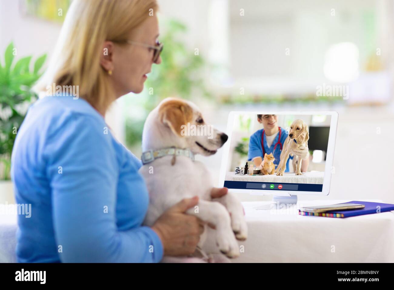 Online consultation with veterinarian. Vet examining animal via video chat. Dog check up during quarantine. Veterinary doctor checking pet in conferen Stock Photo - Alamy Online consultation with veterinarian. Vet examining animal via video chat. Dog check up during quarantine. Veterinary doctor checking pet in conferen Stock Photo - Alamy