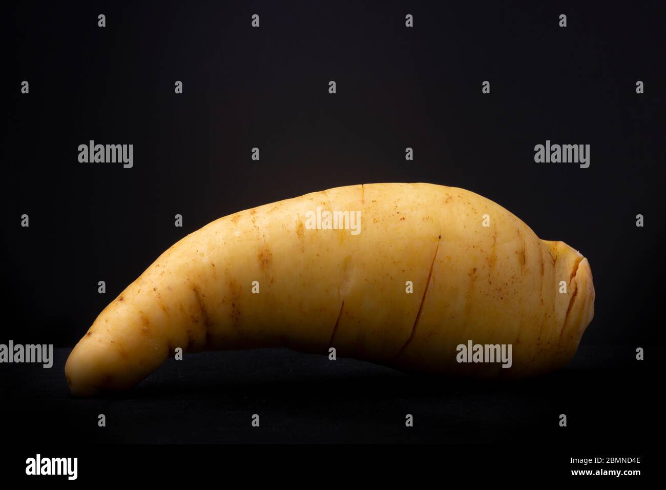 Texture and detail of a large yellow sweet potato. Studio low key food still life contrasted against a dark background. Stock Photo