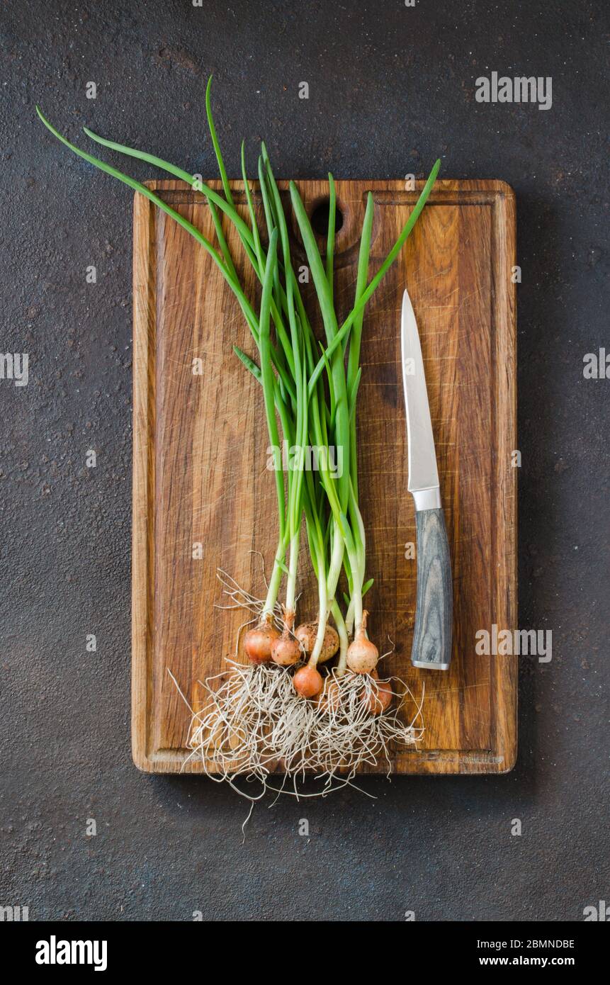 Closeup on spring onion roots hi-res stock photography and images - Alamy