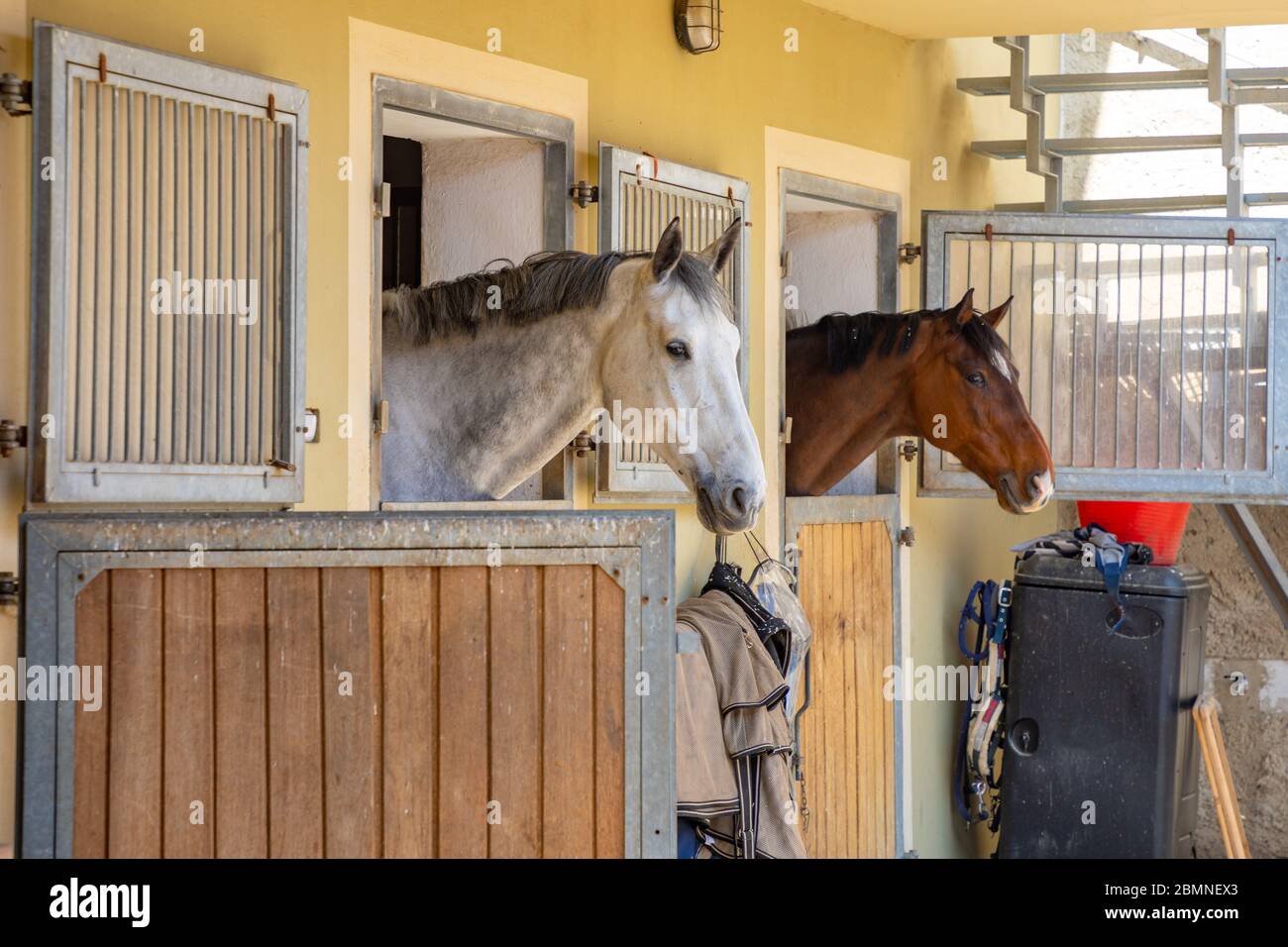 Horses in the stable in farm in deep countryside small town in Czech