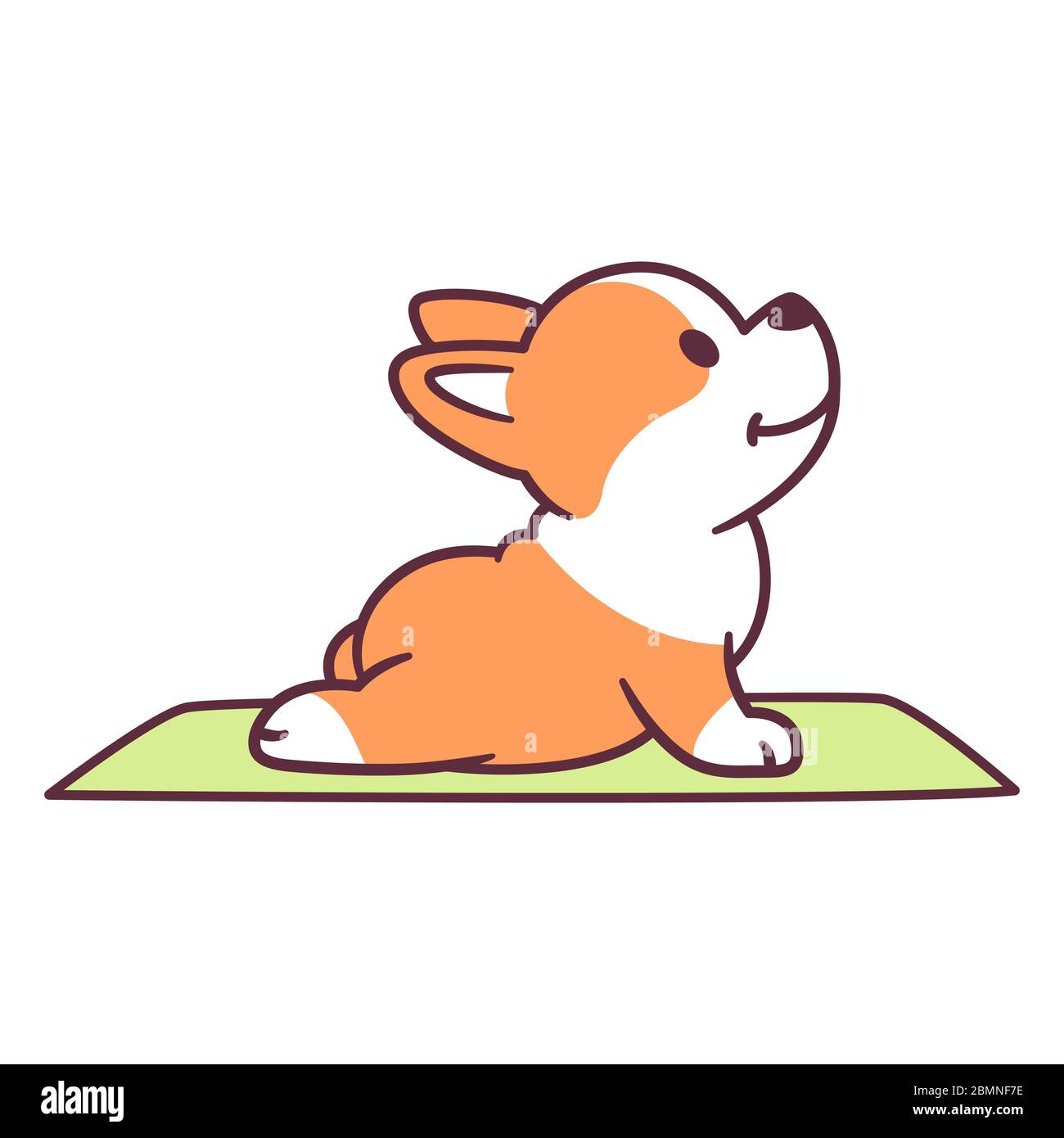 Cute cartoon dog doing yoga. Adorable little corgi puppy in Upward