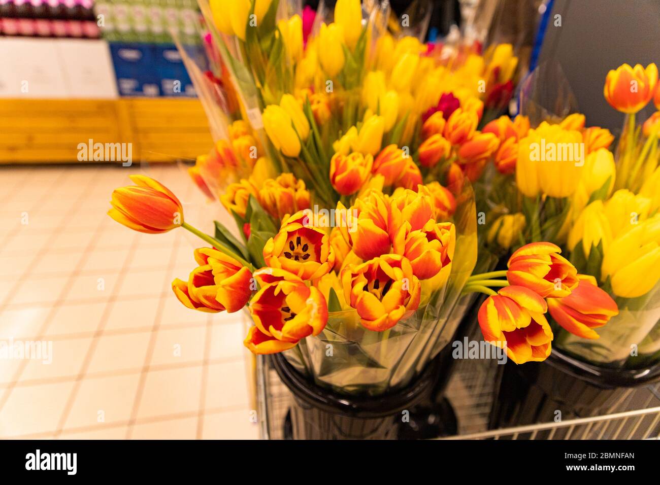 season flowers tulips in the store Stock Photo Alamy