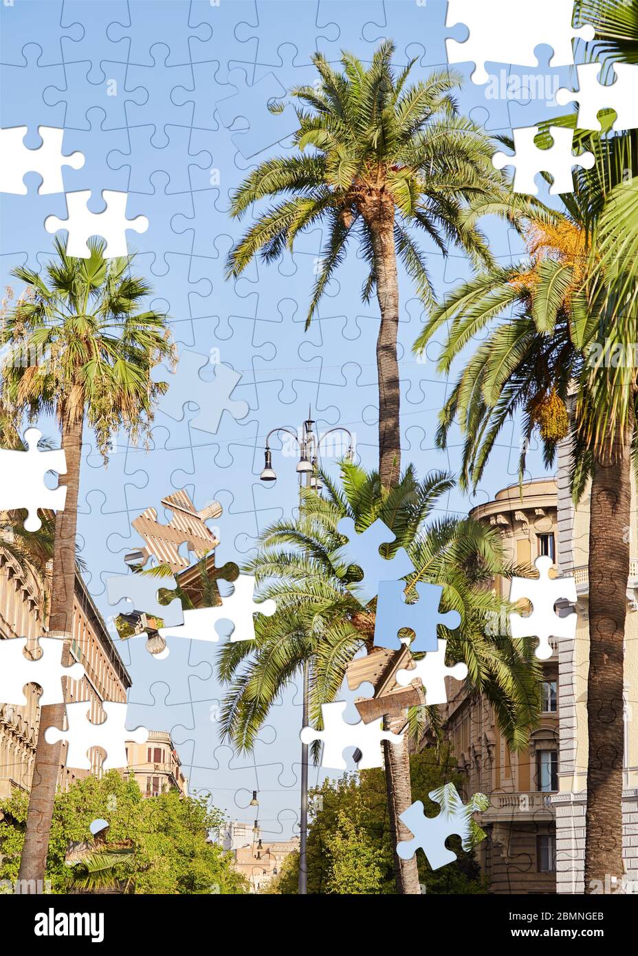 Missing palm hi-res stock photography and images - Alamy