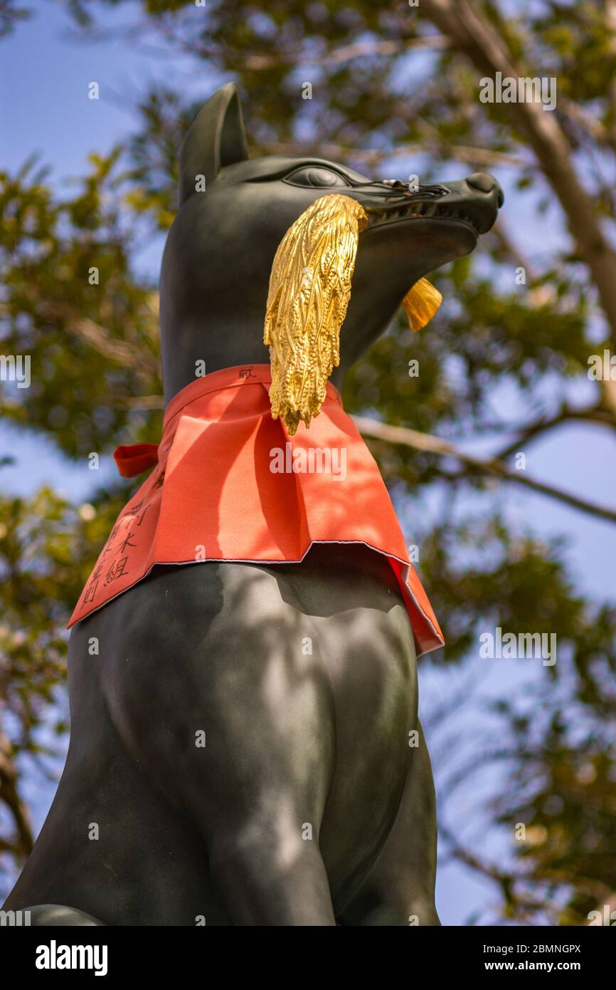 Statue of a Kitsune, Japanese Shinto red fox god, in Fushimi Inari Shinto shrine in Kyoto, Japan