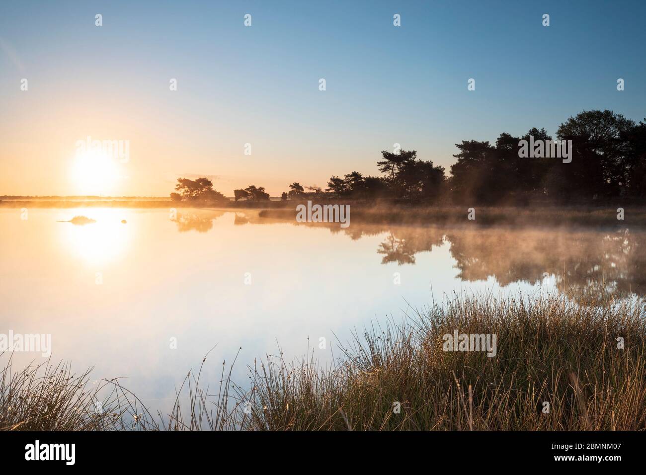 Misty dawn over lake forest hi-res stock photography and images - Alamy