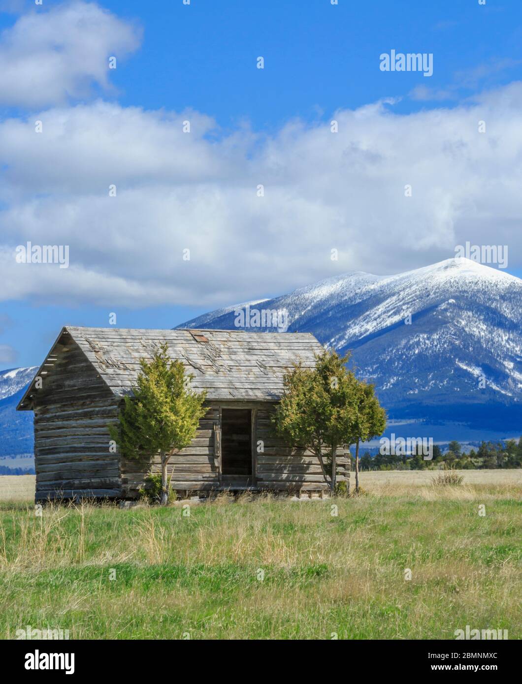 old cabin below mount baldy in the big belt mountains near townsend