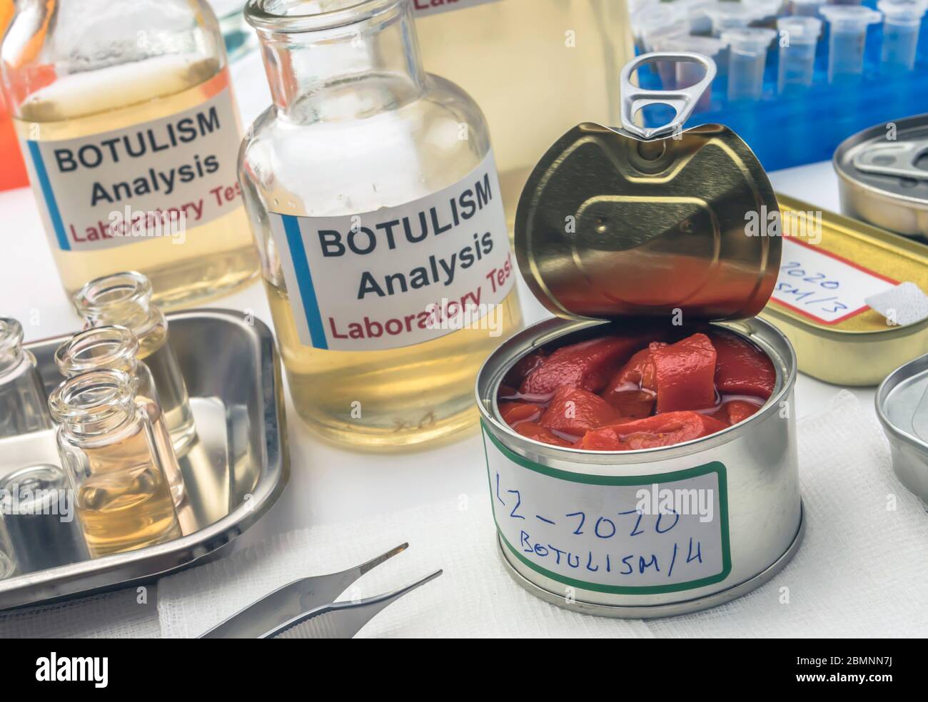 Experienced laboratory scientist analyzes red peppers from a canned food can to analyze botulism infection in sick people, conceptual image Stock Photo